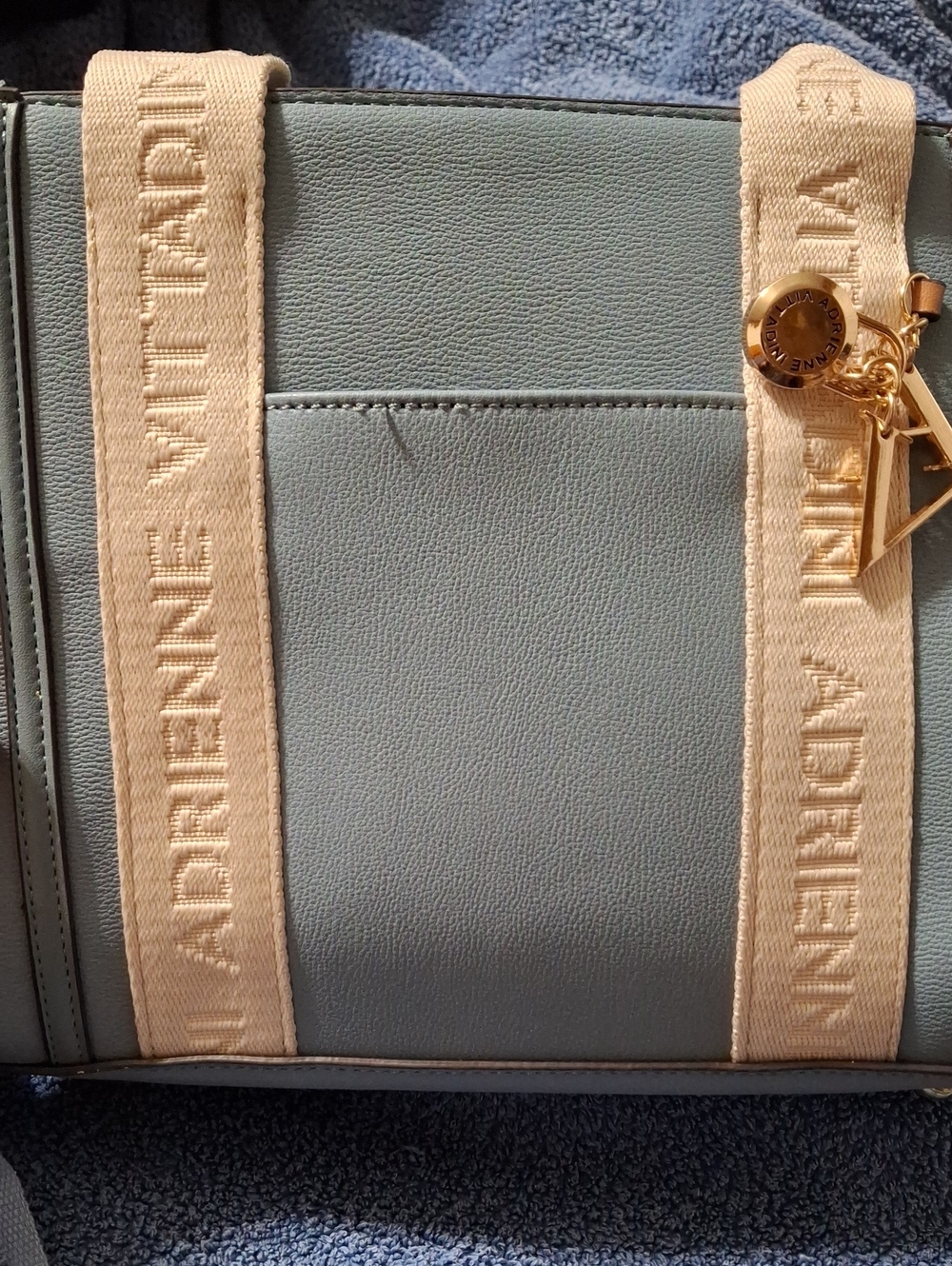 Adrienne Vittadini Seafoam Tote with Cream Logo Straps